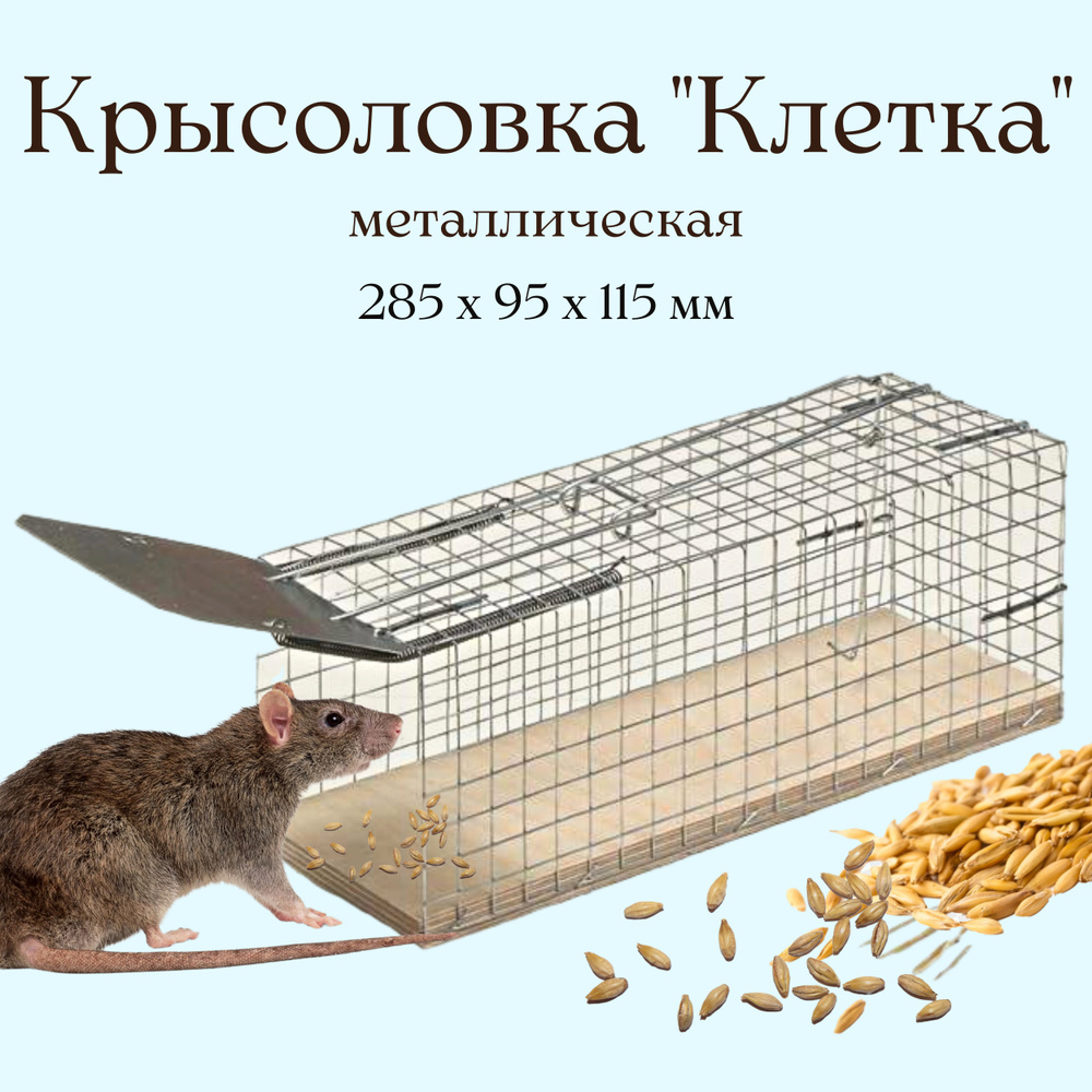 Крысоловка клетка (ловушка)