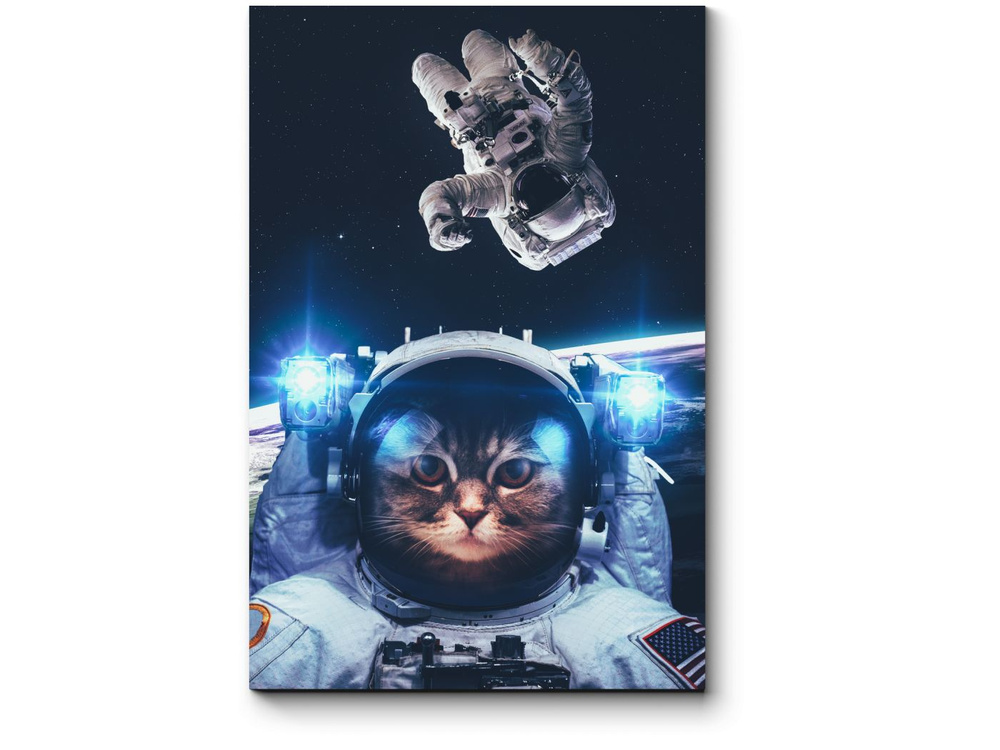 Space cats rule the Universe