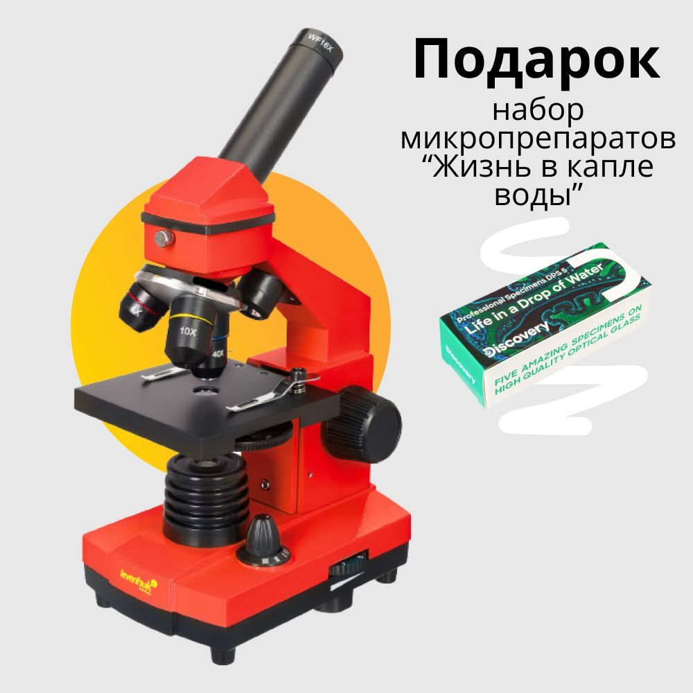 Микроскоп Levenhuk Rainbow 2L PLUS Orange Апельсин #1