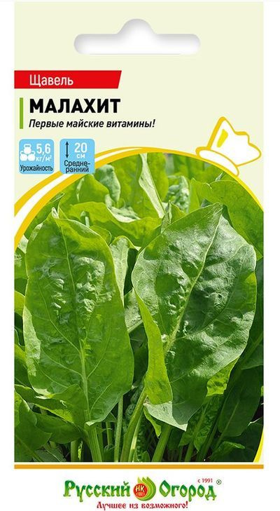 Щавель Малахит #1