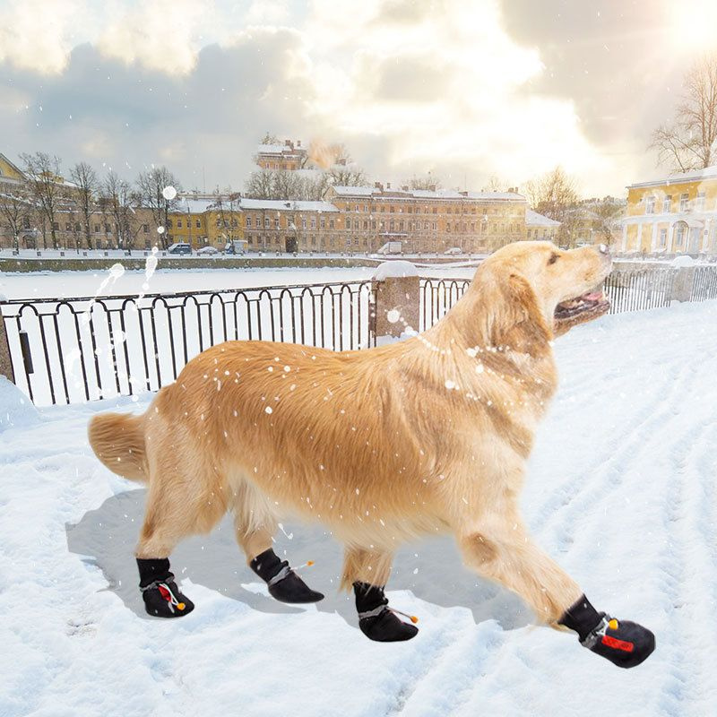 Обувь для маленьких, средних и крупных собак, нескользящая и теплая. -  купить с доставкой по выгодным ценам в интернет-магазине OZON (1305109899)