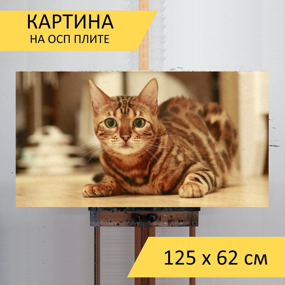 Плакат, декор котик рисунок, кошка яркие цвета