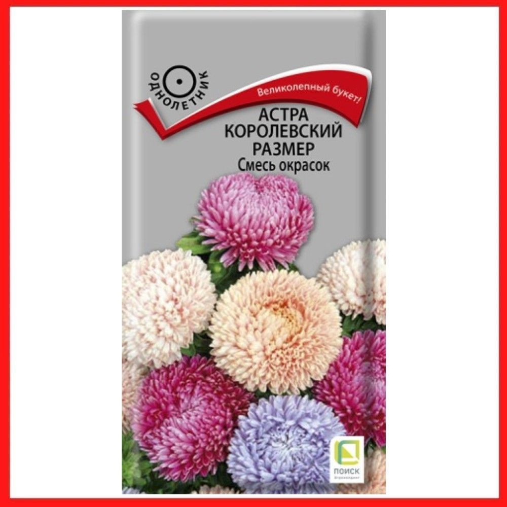 Семена Астра королевский размер "Смесь окрасок" 0,1 гр, однолетние цветы для дачи, сада и огорода, клумбы, #1