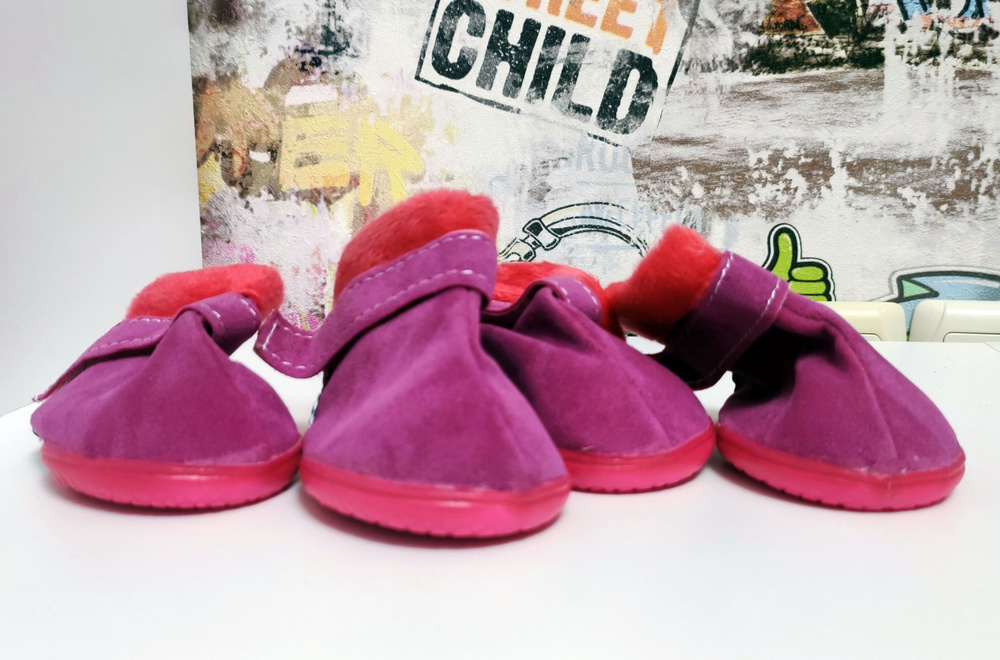 Обувь для собак Замша размер №4 (4шт) Каскад - купить с доставкой по  выгодным ценам в интернет-магазине OZON (904791433)