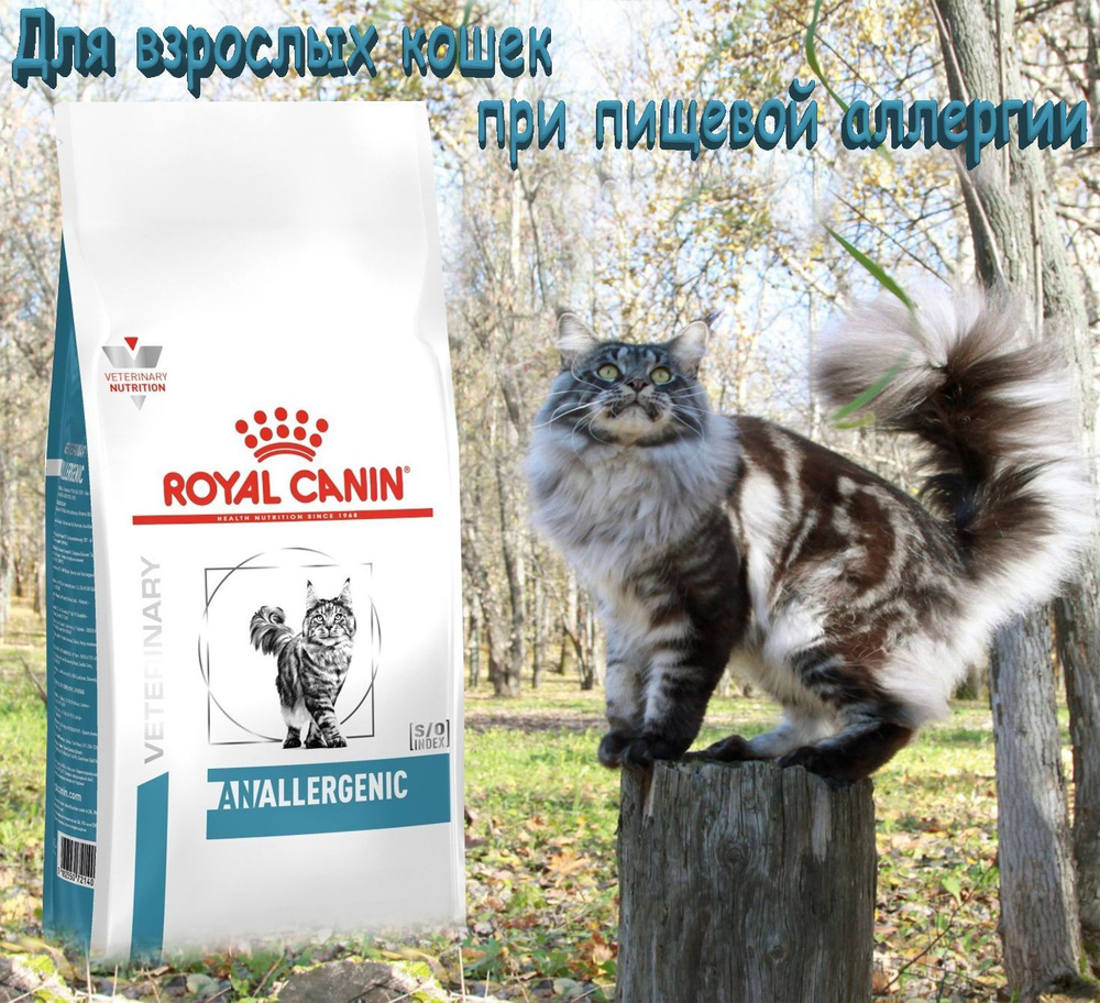 Royal canin best sale anallergenic cat