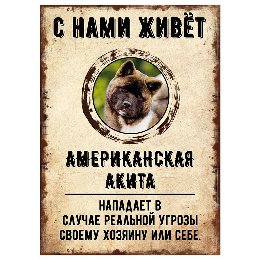 Табличка, декоративная, DANGER DOG, С нами живет Американская акита, 18см х 25см  #1