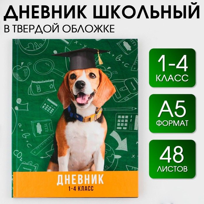  Дневник школьный A5 (14.8 × 21 см), листов: 48 #1