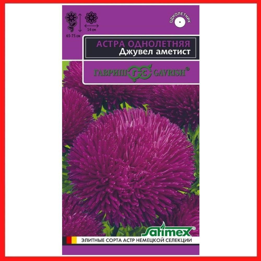 Семена Астра игольчато-коготковая "Джувел Аметист" 0,05 гр, однолетние цветы для дачи, сада и огорода, #1