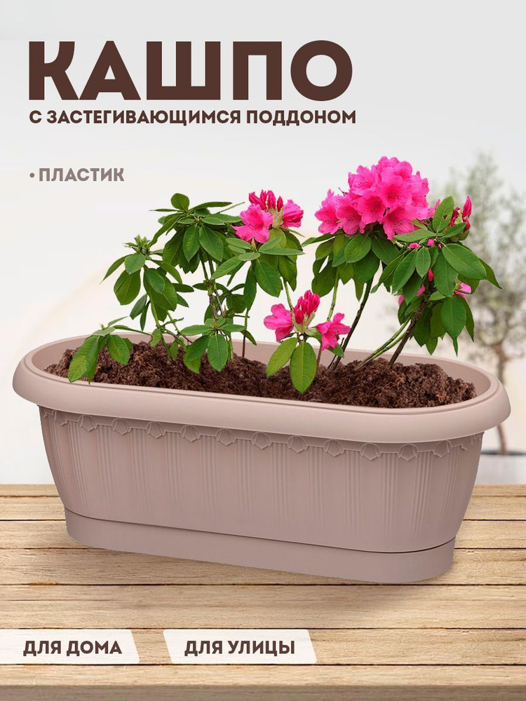 Горшок, кашпо для цветов, орхидеи, суккулентов, кактусов, фиалок ...