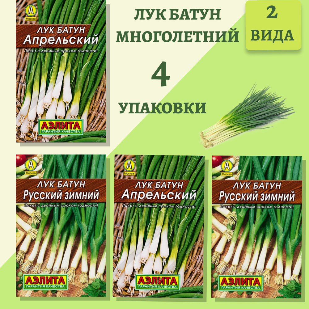 Лук Аэлита укр - купить по выгодным ценам в интернет-магазине OZON  (1018176574)