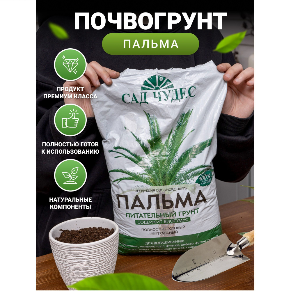 Питательный почвогрунт Пальма, 5л земля для комнатных пальм, фикусов и ...