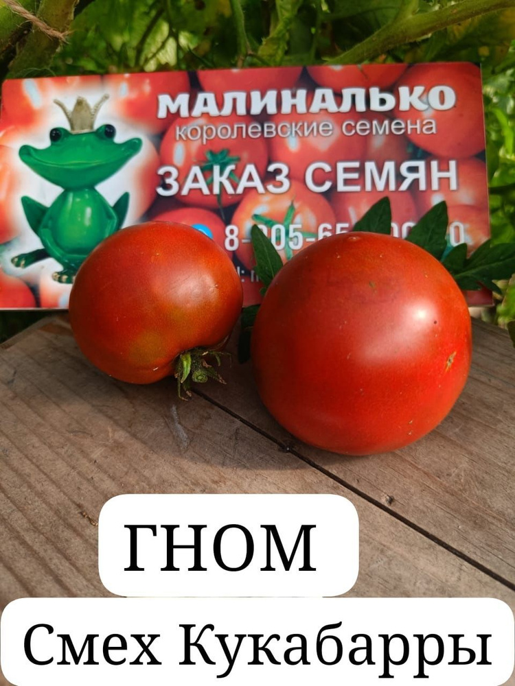 Семена #1