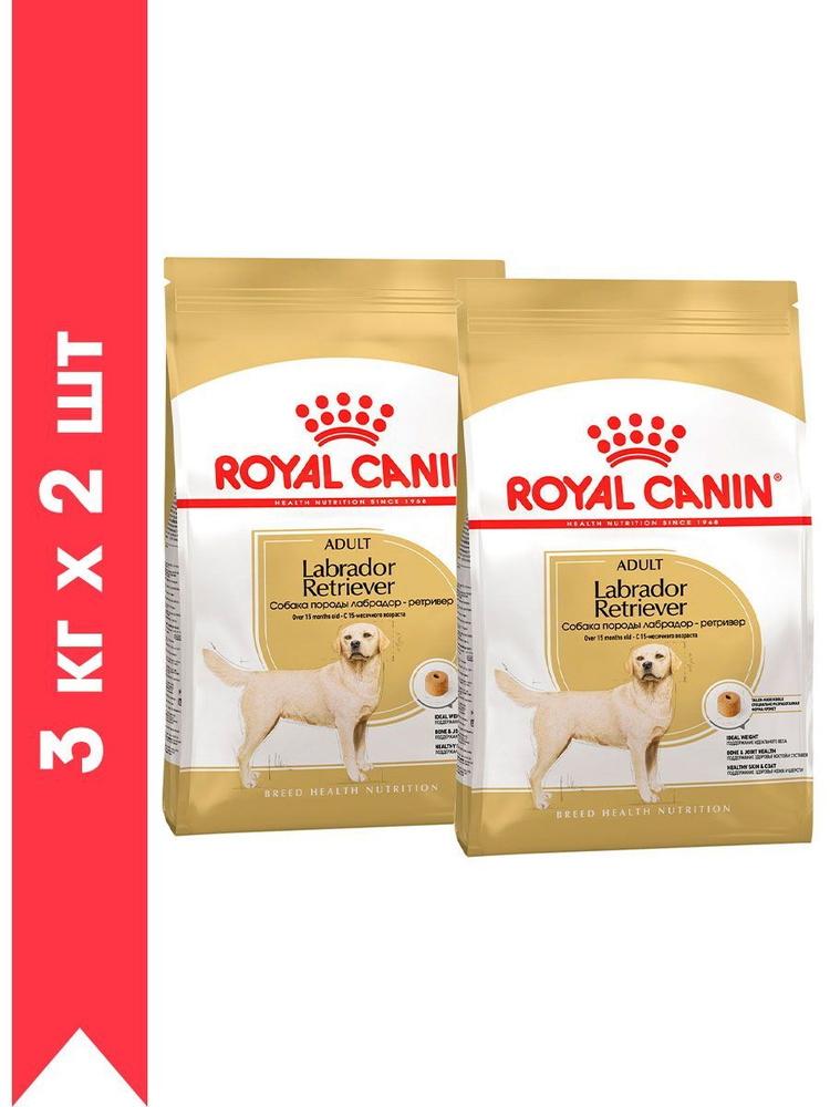 Labrador royal hot sale canin