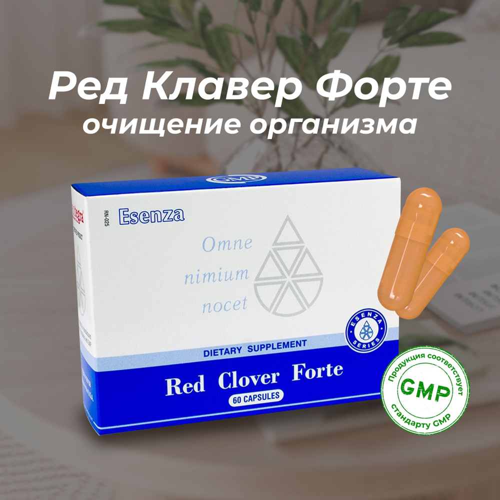 Красный клевер, 60 капсул. Детокс, желчегонное. Повышение иммунитета и  очищение кожи. Red Clover Forte Santegra. Ред Клавер Форте Сантегра, США -  купить с доставкой по выгодным ценам в интернет-магазине OZON (930723624)