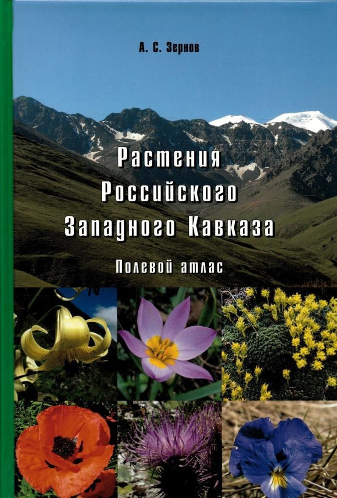 Растения Российского Западного Кавказа. Полевой атлас #1