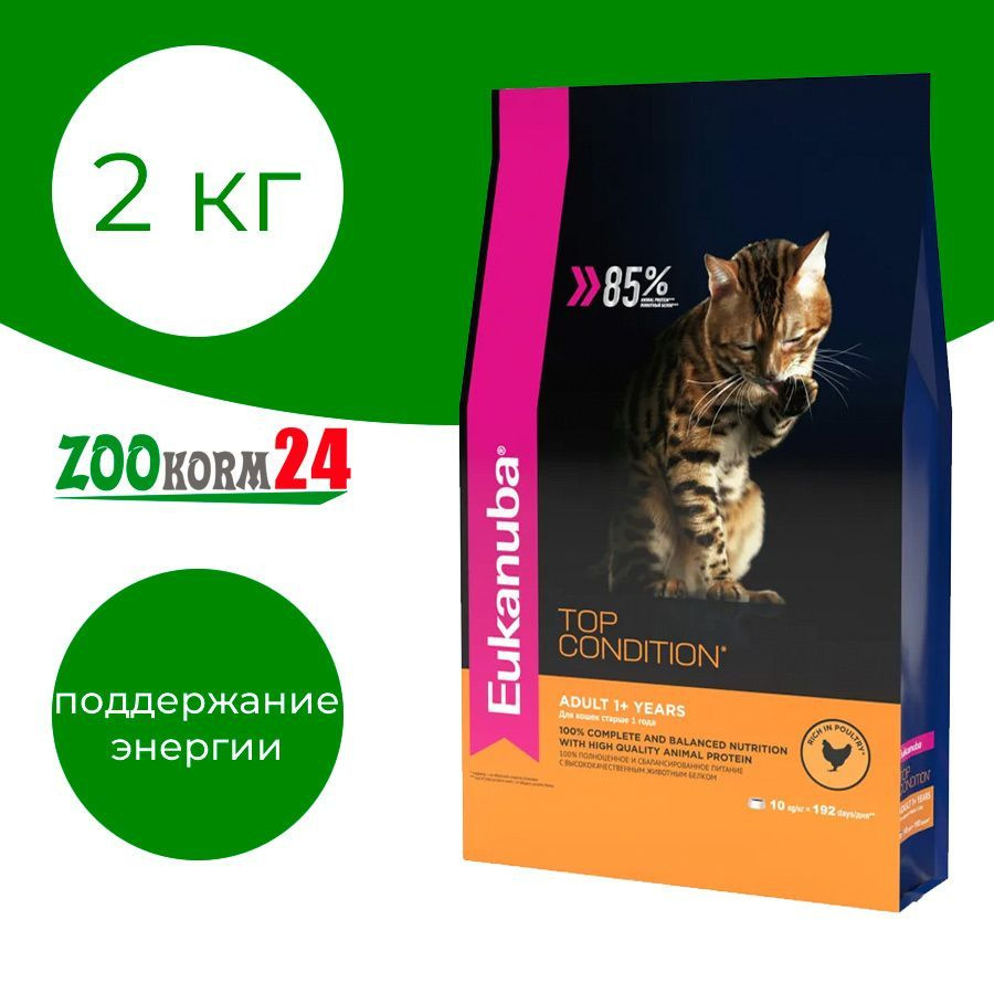 Корм сухой Eukanuba Top Condition Adult для взрослых кошек, курица, 2 кг  #1