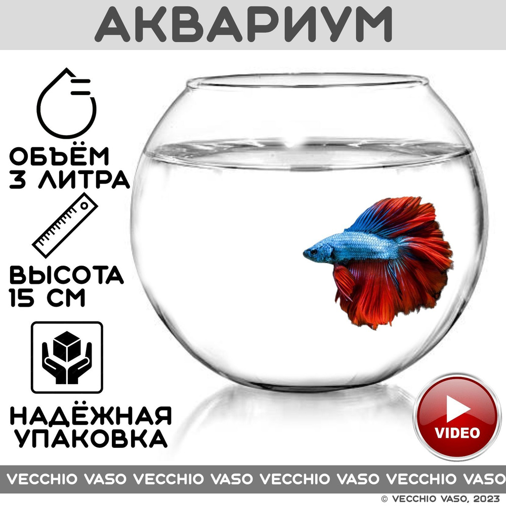 Мой маленький аквариум на кухне 30 литров (Elena36)