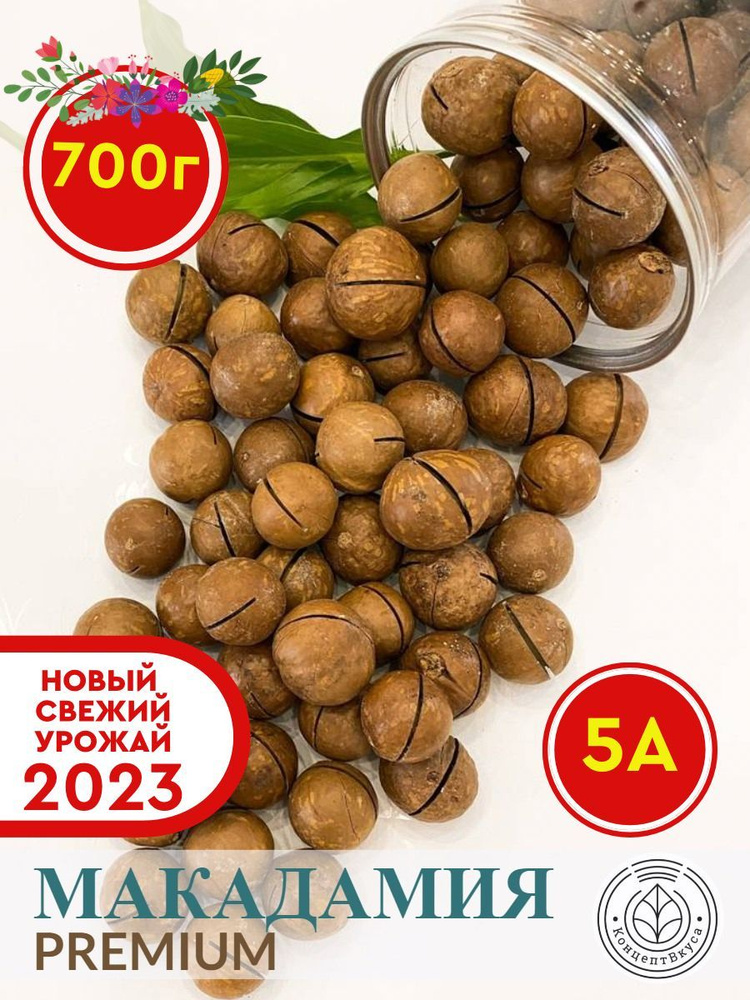 Орехи макадамия в скорлупе, в банке 700 гр, жареные, крупные ...