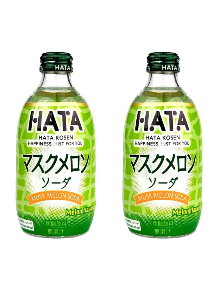 Газированный напиток Hata Kosen Melon Soda Дыня 300мл х 2шт #1