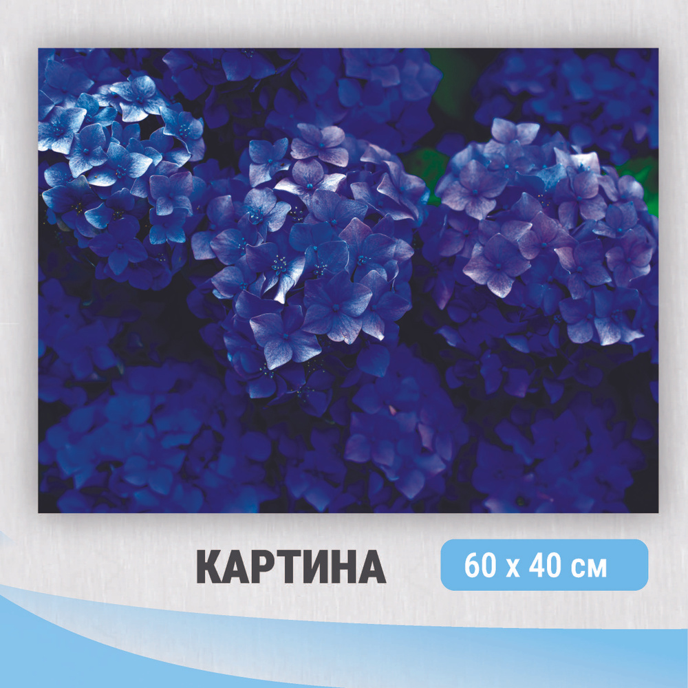 Картина на холсте Гортензия / декор и стилизация интерьера квартиры, дома, офиса / 40см-60см. #1