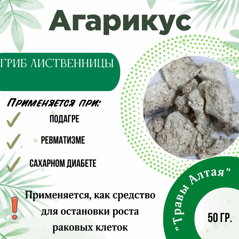 Агарикус (лиственный гриб), "Травы Алтая",50гр #1