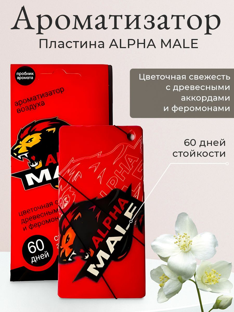 Contact aroma Ароматизатор автомобильный, ALPHA MALE #1