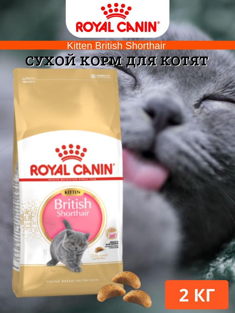 Сухой корм для котят Royal Canin Kitten British Shorthair 2кг #1