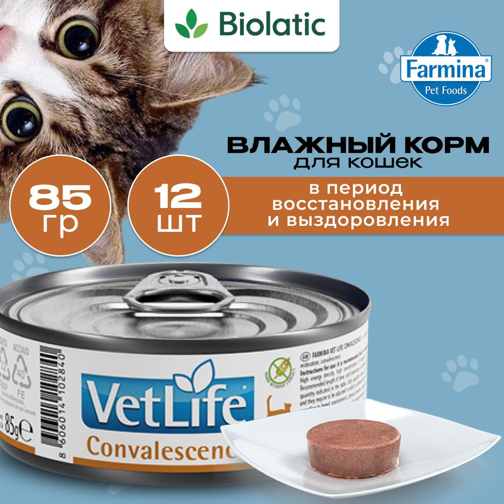 Farmina Vet Life Convalescence Влажный корм для кошек в восстановительный период, 85 г x12 шт  #1