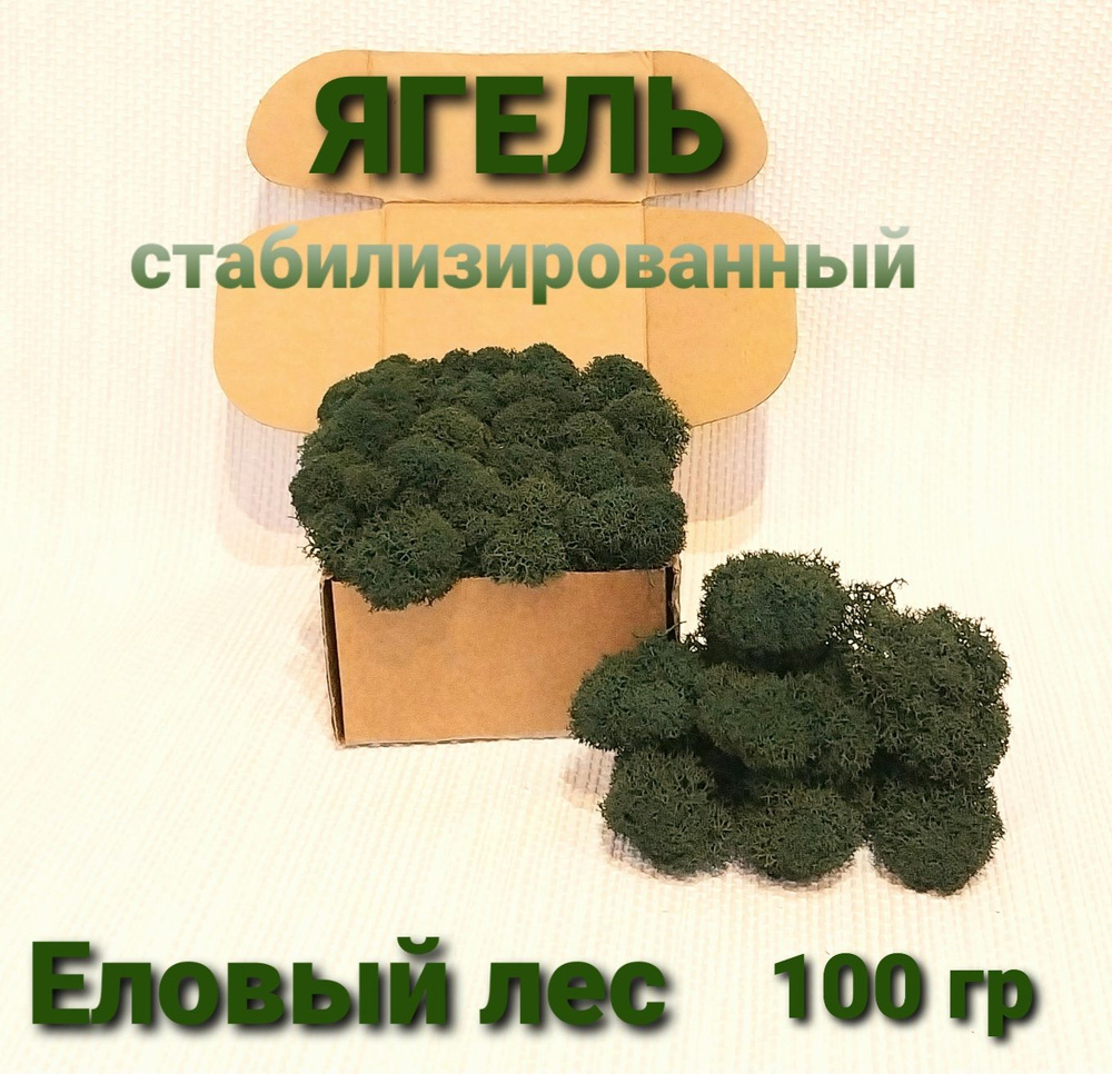 Стабилизированный мох Мох, 100 гр #1