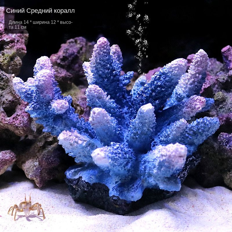 Декорация для аквариума/Кораллы - купить с доставкой по выгодным ценам ...
