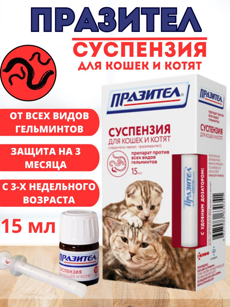 Суспензия Празител от глистов для кошек и котят - купить с доставкой по  выгодным ценам в интернет-магазине OZON (1367466363)