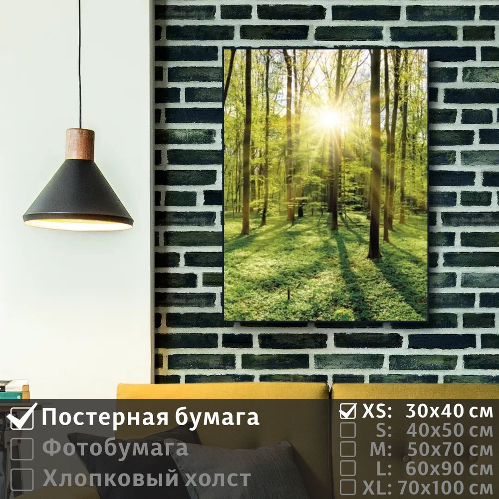 Постер на стену Лучи Утреннего Солнца В Весеннем Лесу 30х40 см ПолиЦентр #1