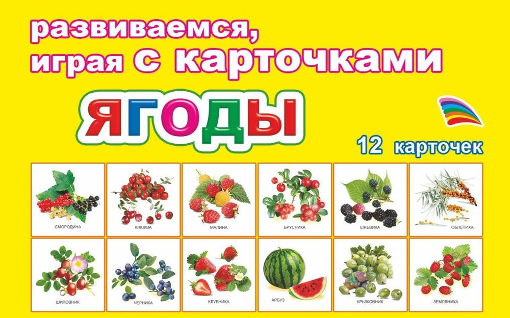 Карточки ЯГОДЫ: 12 шт. в комплекте. Развивающие карточки для детей дошкольного и младшего школьного возраста, #1