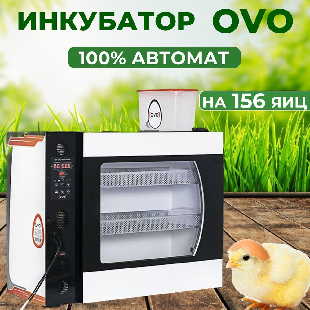 Инкубатор OVO на 156 яиц (100% автомат)