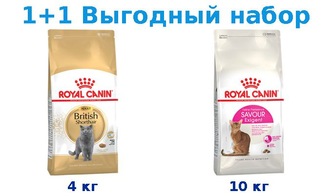 Сухой корм Взрослые, Royal Canin Breed cat British Shorthair 4 кг + Взрослые, Royal Canin Exigent Savoir #1