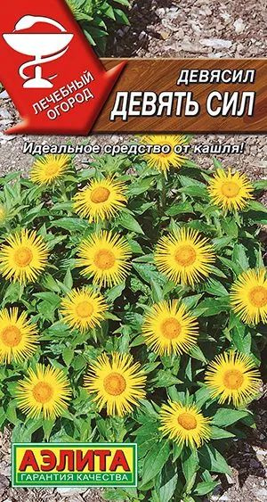 Семена Девясил Девять Сил (15 семян) - Аэлита #1