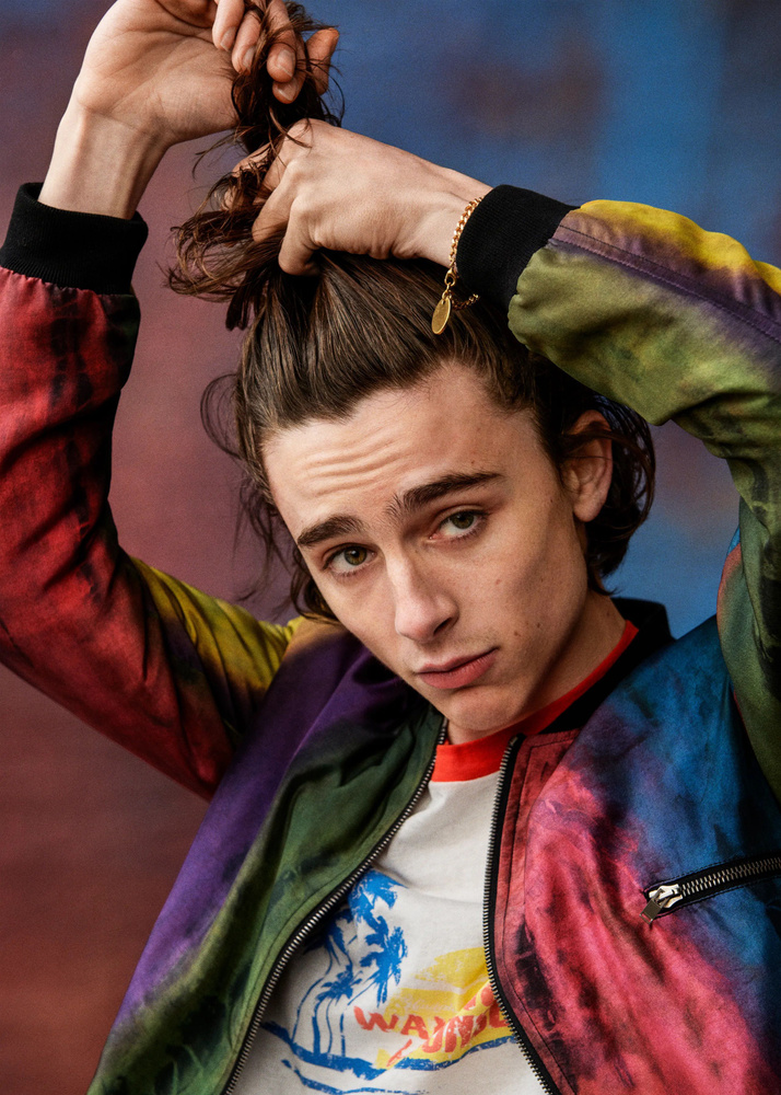 Плакат / Постер Тимоти Шаламе Timothee Chalamet А3 (30*42 см) #1