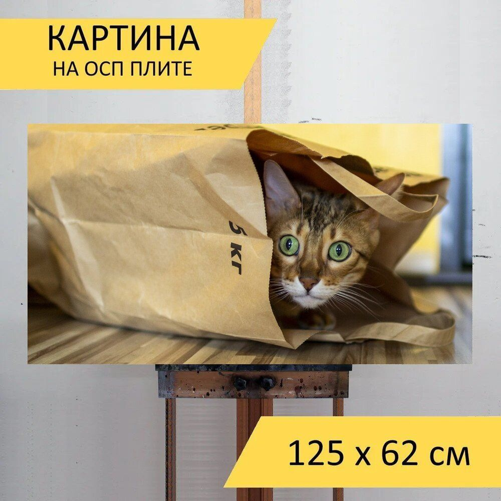 LotsPrints Картина "Кошка, пакет, бенгальская 72", 125  х 62 см #1