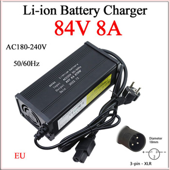 Lithium Battery Charger OZON