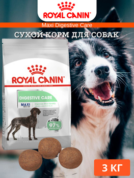 Royal canin maxi digestive hot sale care