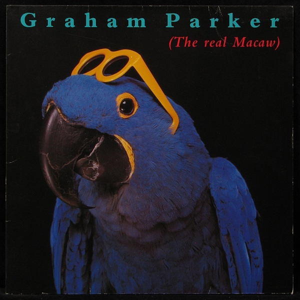 graham parker net worth - Ilustrasi 3