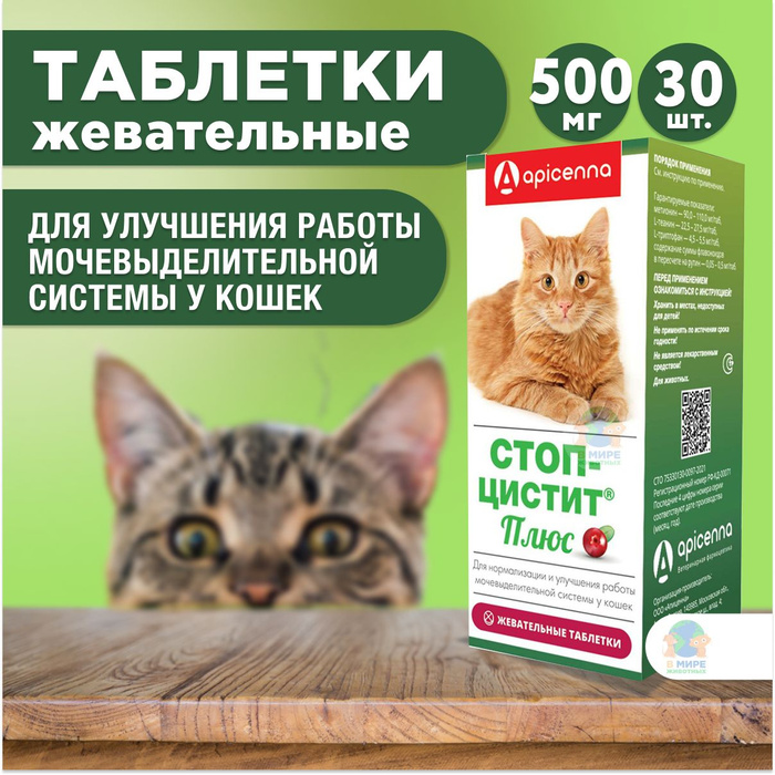 Цистит у кошек лечение