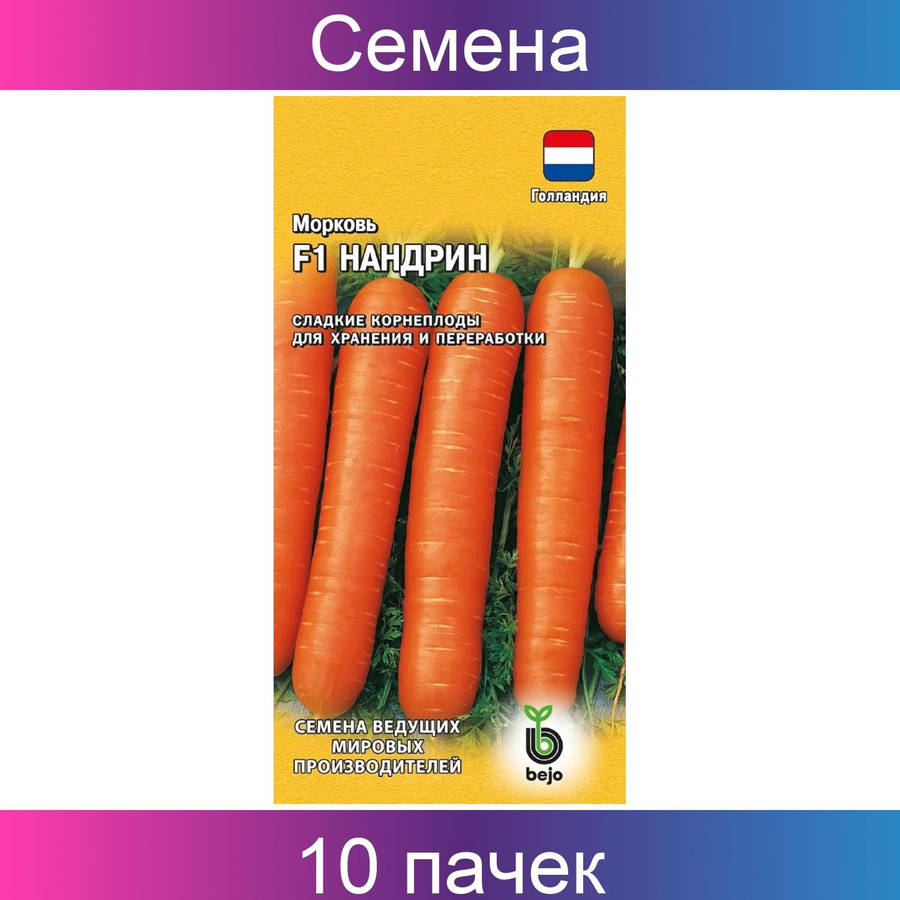 Морковь нандрин. Селекция моркови.