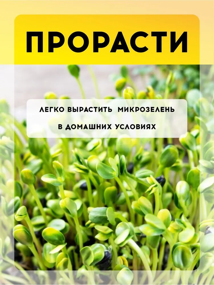 Семечки подсолнечника Просто Вкусные пищевые, неочищенные, черные, сырые, 1кг, 1 кг, фото 6