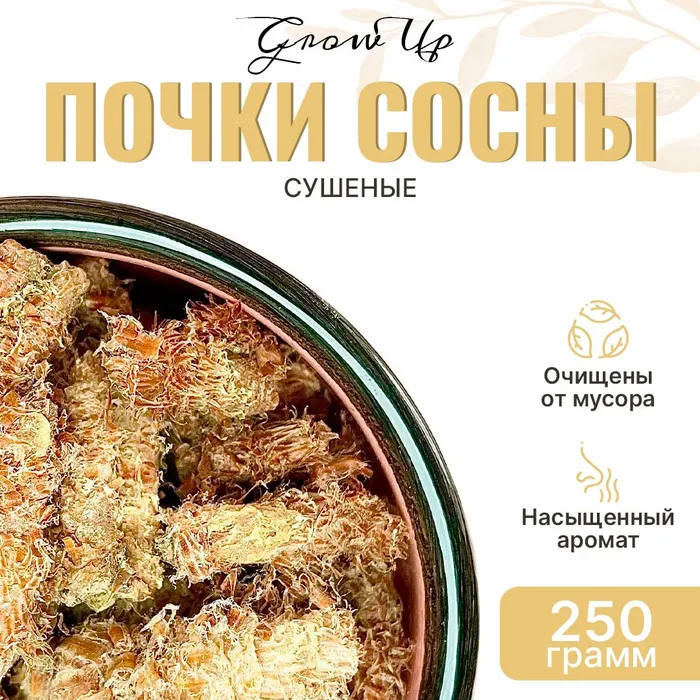 почки сосны сырье. почки сосны сырье. сухие почки. почки сушеные для собак. березовые почки сухие.