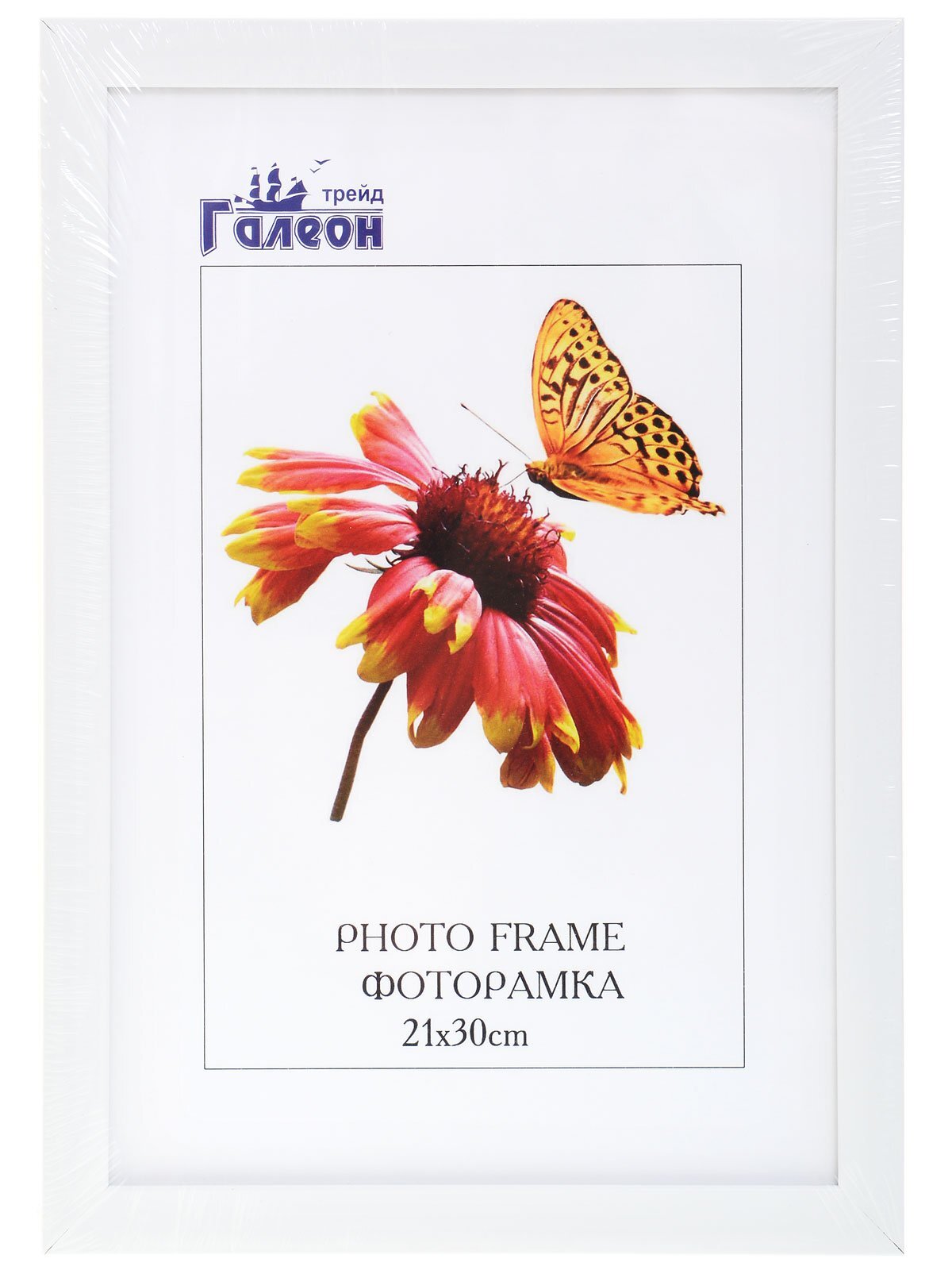 Фоторамка пластиковая 21 х 30 см, 2004A-012AL