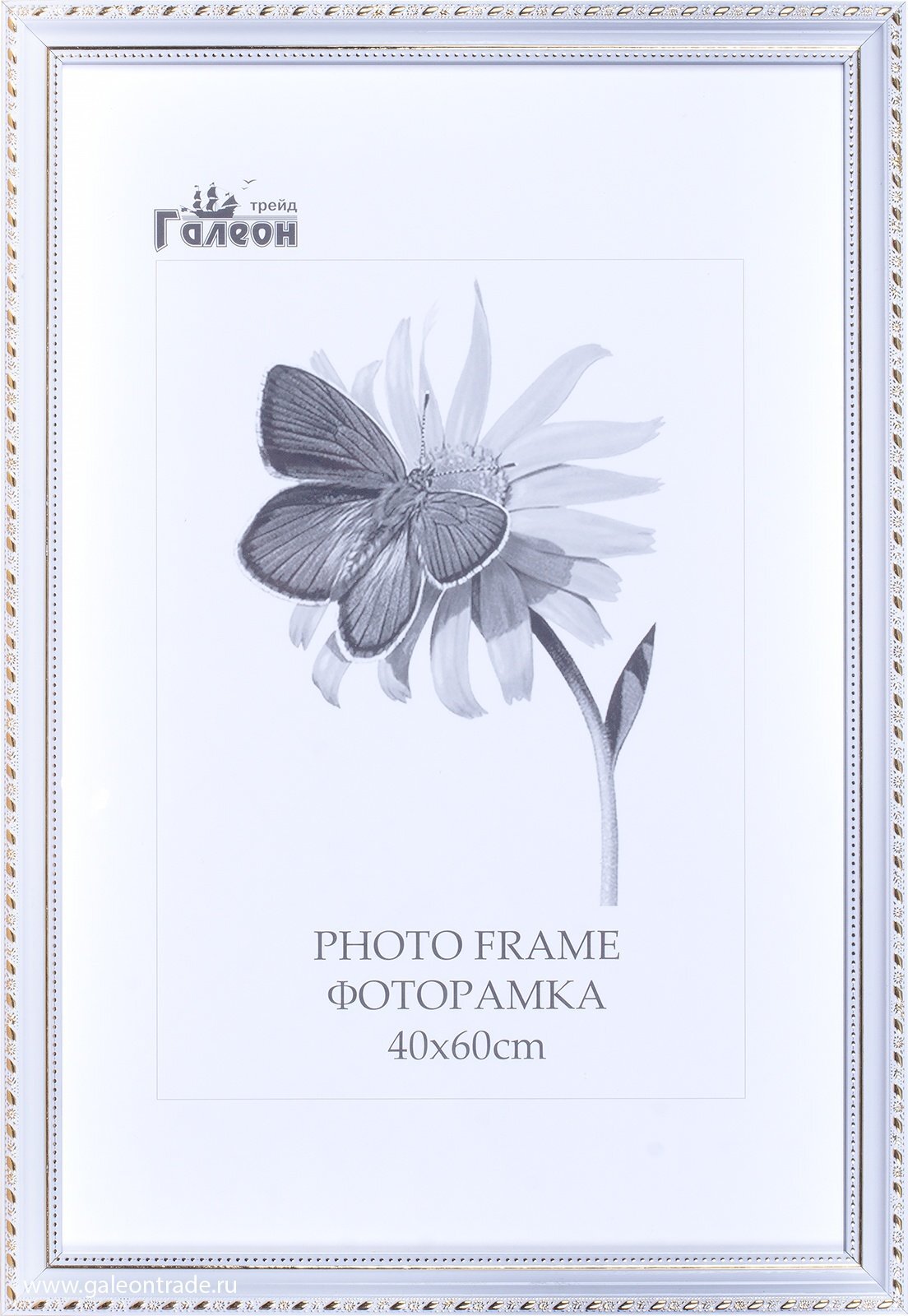 Фоторамка пластиковая 40 х 60 см, 3011CI-012ALI