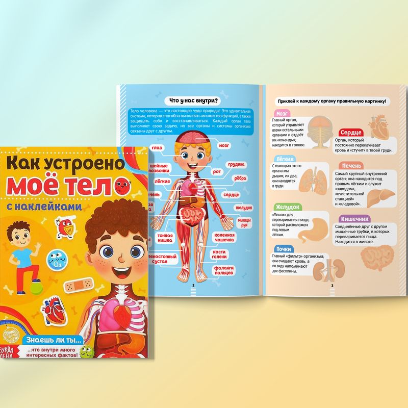 тело человека игрушка. набор увлекательная анатомия. детский теле набор. детский теле набор. игрушки для девочек.