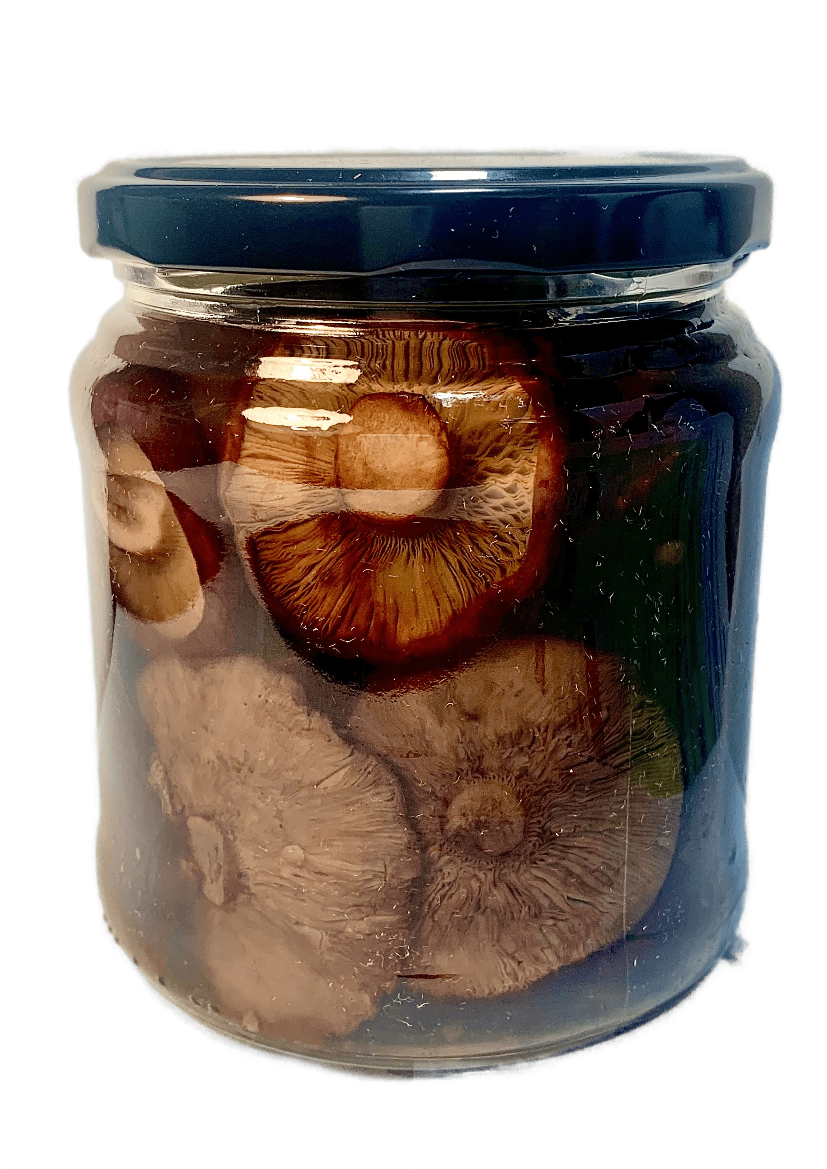 ГрибыконсервированныеДОМГРИБОВ