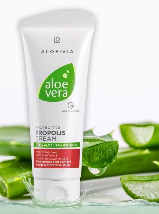 where to get aloe vera plant Aloe barbadensis main image 0
